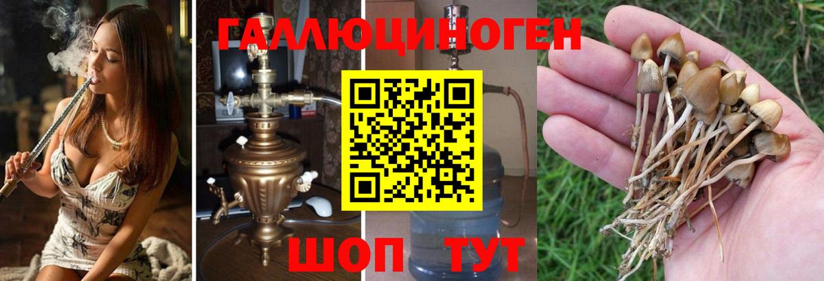 Псилоцибиновые грибы ЛСД  Галлюциногенные грибы Cubensis  Камышлов  Вход с VPN 